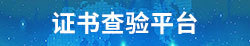 互联网+服务 互联网+服务